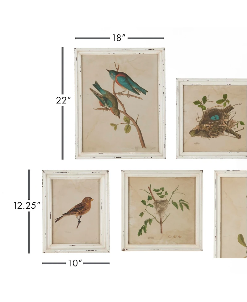 Framed Aviary Bird & Nest Habitat Prints Set of 9