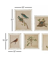 Framed Aviary Bird & Nest Habitat Prints Set of 9