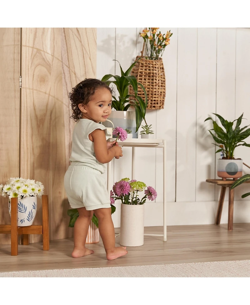 Gerber Childrenswear Baby Girls Flutter Sleeve Bodysuit and Shorts Set
