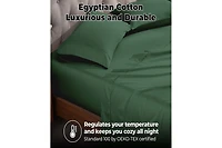 Superior Egyptian Cotton 300 Thread Count Solid Bed Sheet Set
