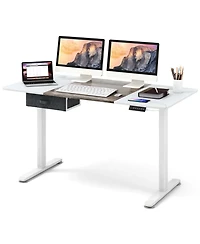 Height Adjustable Electric Standing Desk with Usb Charging Port
