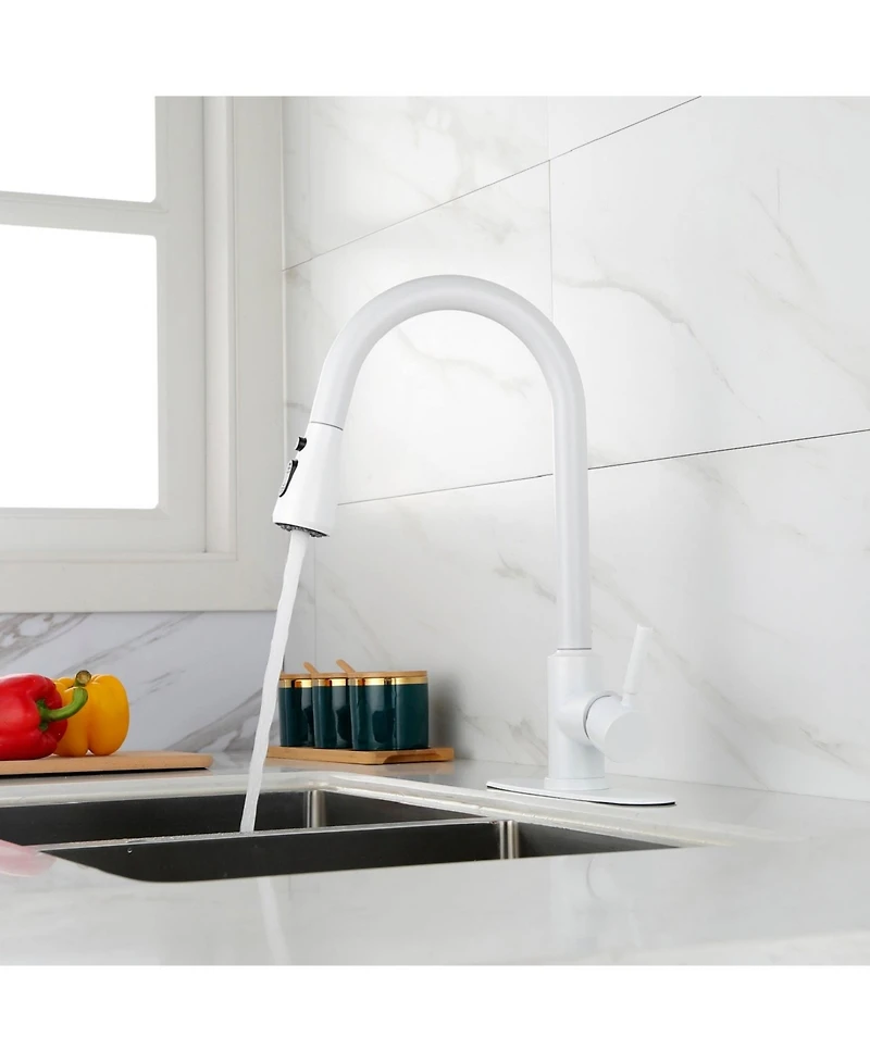 Kitchen Faucet with Pull Out Spraye