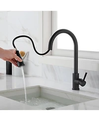 Kitchen Faucet with Pull Out Spraye