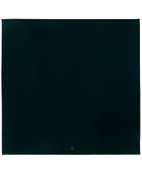 Lauren Ralph Micromink Plush Blanket