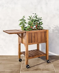 Seville Classics Acacia Wood Raised Garden Bed Planter Cart