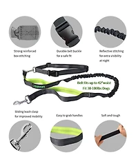 Hands Free Bungee Dog Leash