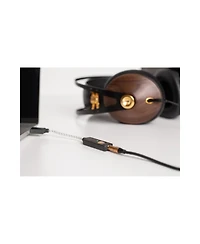 iFi Go Link Usb-c Dac Dongle