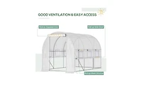 Walk-In Greenhouse for Gardening – Large Outdoor Plant Growing Space