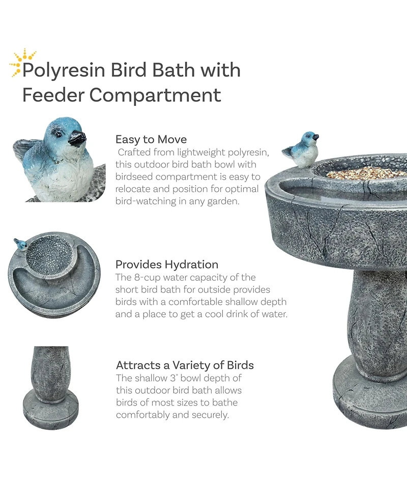 27" H Bird Bath with Birdseed Feeder Compartment