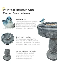 27" H Bird Bath with Birdseed Feeder Compartment