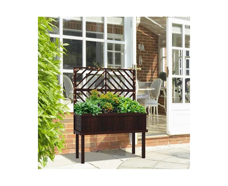 Espresso Fir Wood Elevated Raised Garden Bed With Stylish Climbing Trellis