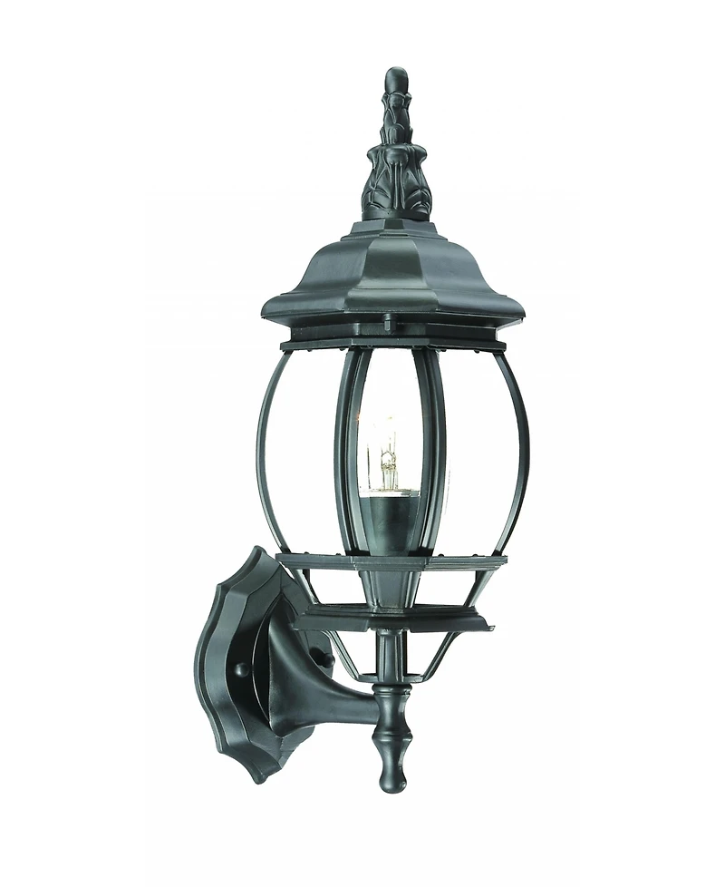 Ornamental Glass Globe Wall Light for Indoor and Outdoor Decor