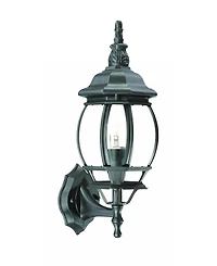 Ornamental Glass Globe Wall Light for Indoor and Outdoor Decor