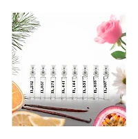 Best Sellers Sample Kit (8 Scents)