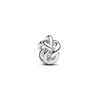 Pandora Infinity Knot Charms