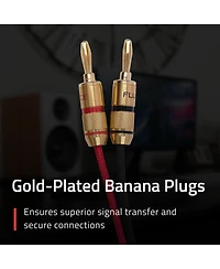 Fluance High-Fidelity 12 Gauge Speaker Wire with Dual Gold-Plated Banana Plugs, 12 Feet Oxygen-Free Pure Copper (Ofc) Cable, Nylon Braided Jacket (SW5