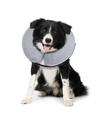 Bencmate Medium Protective Inflatable Pet Collar: Ergonomic, Soft, Vision-Friendly E-Collar
