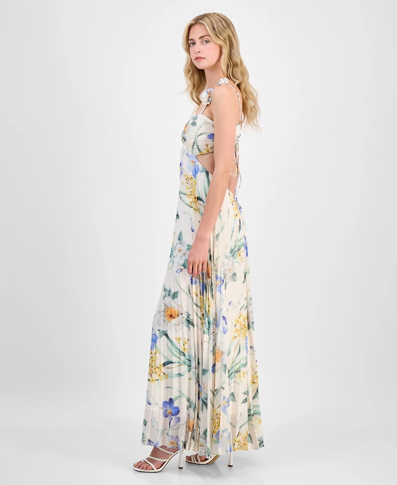 Astr the Label Women's Emese Pleated Floral Maxi Dress