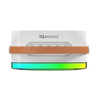 Mini Bluetooth Karaoke Portable Speaker with Wireless Mic