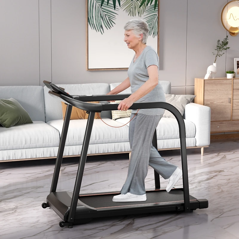 2.5 Hp Walking Treadmill with Long Handrails for Seniors