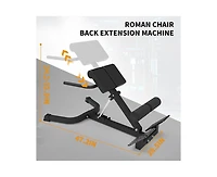 Roman Chair Back Extension, Dual Adjustable Back Extension Bench for Home Gym, Adjustable Back Exercise Machine Weight Capacity 330 Lbs, for Core Work