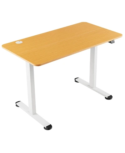 Electric Standing Desk Adjustable Stand up Computer Desk Anti-collision