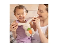 Sperric Toddler Easter Plush and Teether Playset - Squeaky Bunny, Chicken, Egg, Toys Silicone Teethers Perfect Gift for Newborns