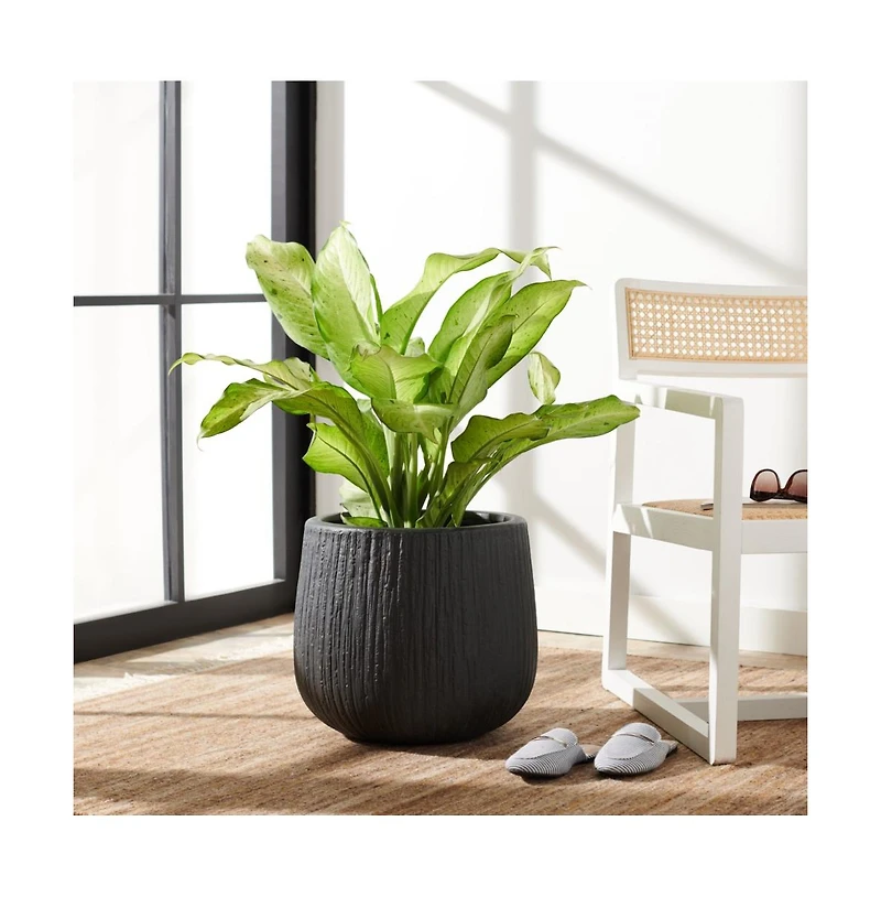 Francia Planter