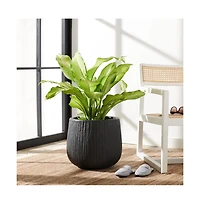 Francia Planter