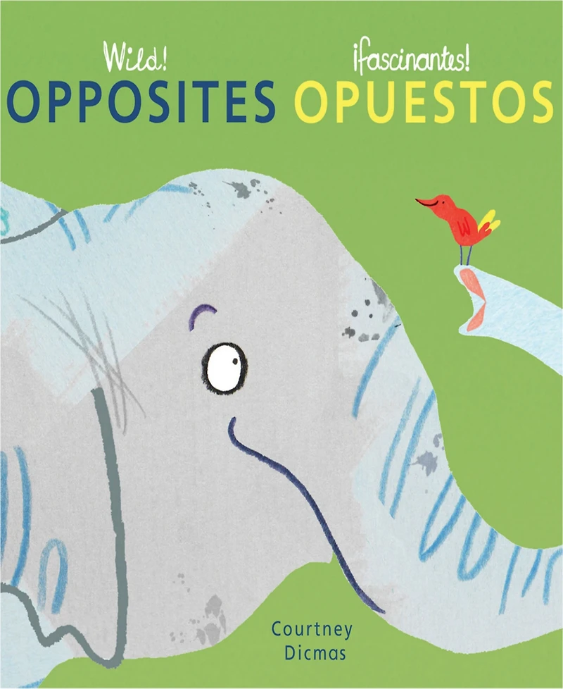 Child's Play Books Wild Concepts Bilingual Board Books, Set of 4