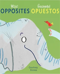 Child's Play Books Wild Concepts Bilingual Board Books, Set of 4