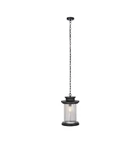 Queren 9.25" Outdoor Pendant