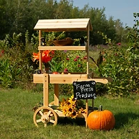 Country Market Flower Cart Display Stand - 49.25” H
