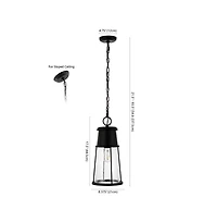 Laela 8.4" Outdoor Pendant