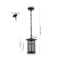 Osprey 8" Outdoor Pendant