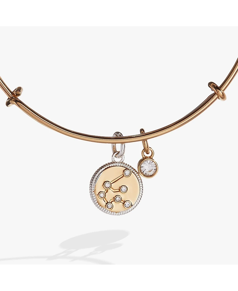 Zodiac Bangle Bracelet Aquarius