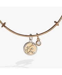 Zodiac Bangle Bracelet Aquarius