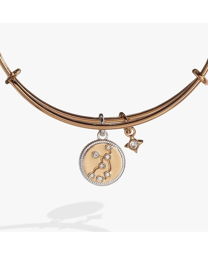 Zodiac Bangle Bracelet Virgo
