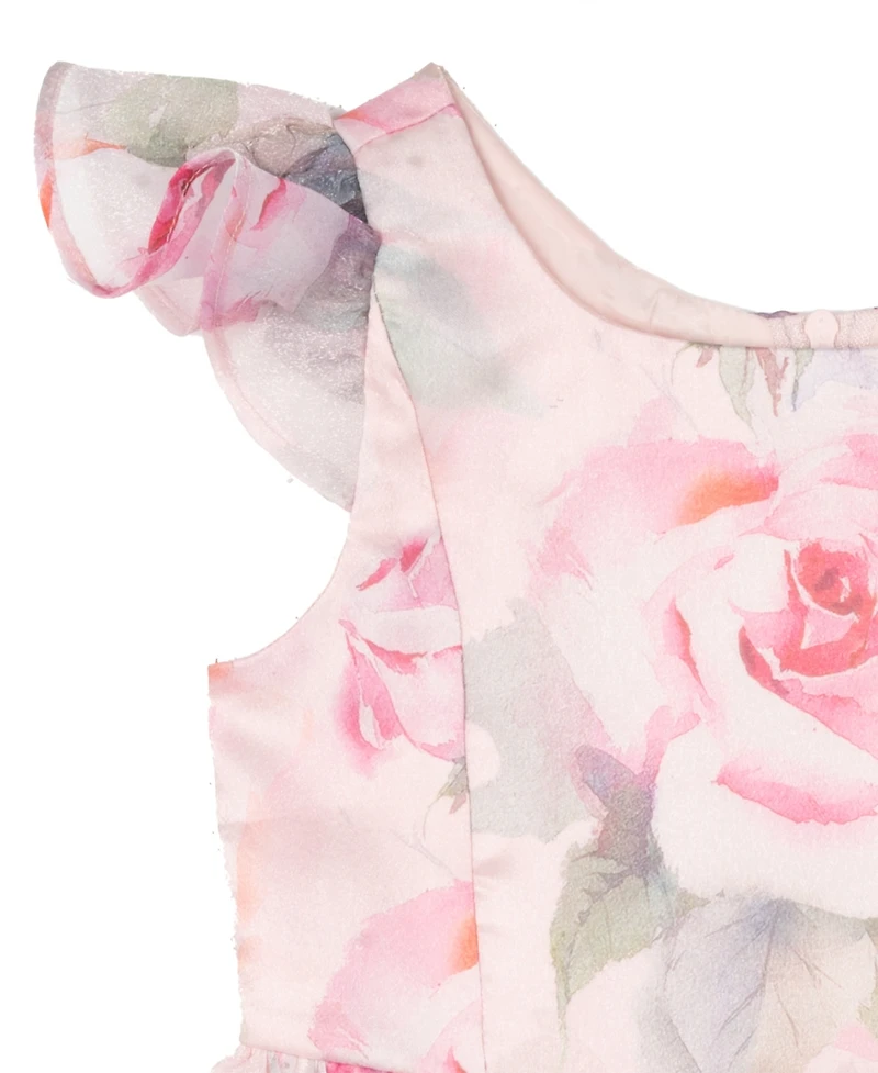 Rare Editions Toddler and Little Girls Floral Organza Party Dress