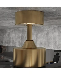 62-In Ceiling Fan with Remote Control, Reversible Dc Motor, Solid Wood,No Noise