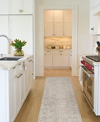 Nourison Home Shadows SHW04 2'2"x10' Runner Area Rug