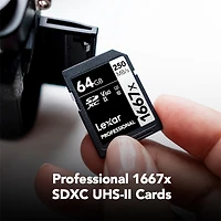 Panasonic Lumix S9 Mirrorless Camera with Lumix S 18-40mm f/4.5-6.3 Lens, Jet Black, Bundle with Professional 1667x 64GB Uhs-ii Sdxc Memory Card, Alpi