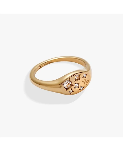 Alex and Ani Zodiac Ring Capricorn