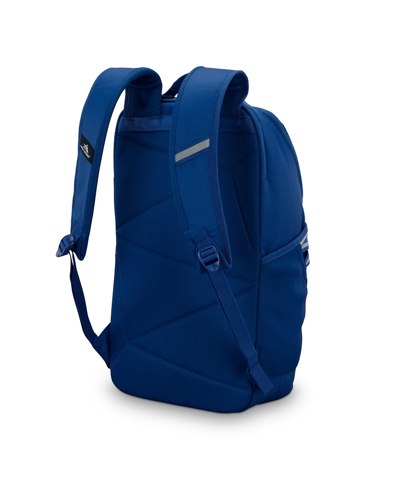 High Sierra Swoop Sg Backpack