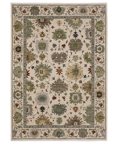 Oriental Weavers Eliana ELI10 5'3"x7'6" Area Rug