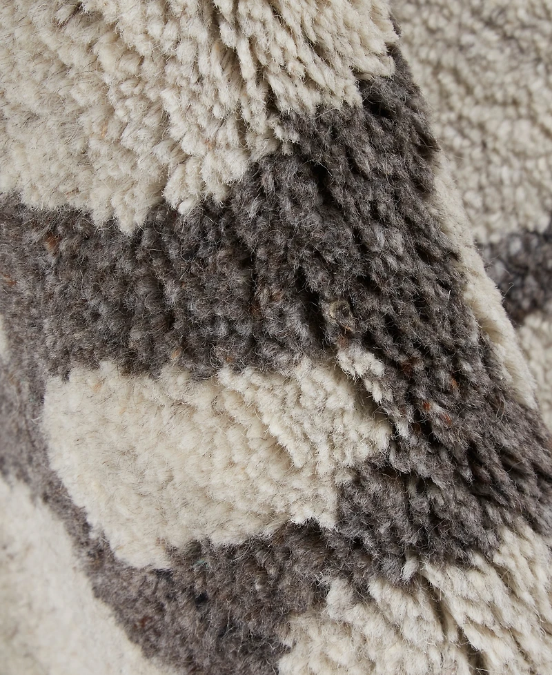 Thom Filicia for Feizy Belden T6001 2'x3' Area Rug