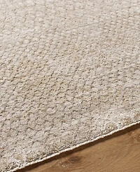 Livabliss Masterpiece High-Low Mpc-2302 9'x12'2" Area Rug