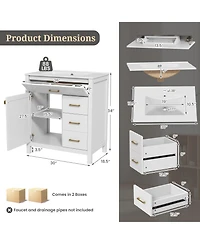 Single Bathroom Vanity with 2 Drawers and 1 Door