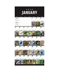 2026 Birds: Backyard and Beyond Wall Calendar