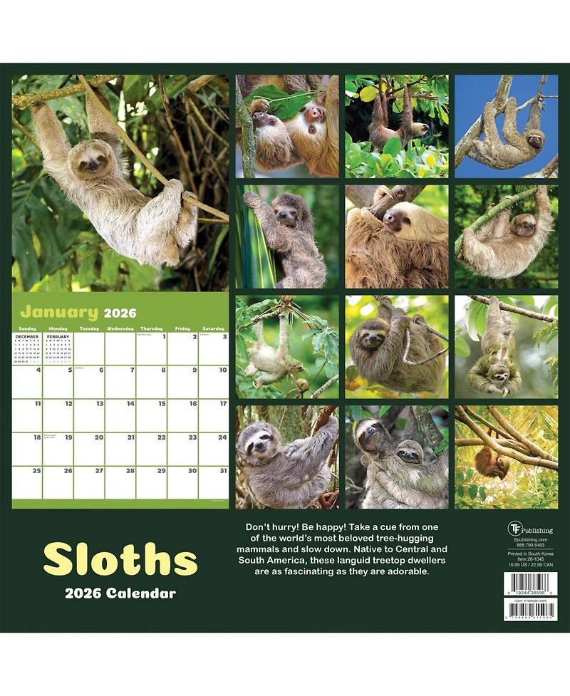 2026 Sloths Wall Calendar
